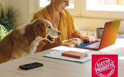 🌟 NOVITÀ – IREN STAY CONNETTIVITÀ 🌟